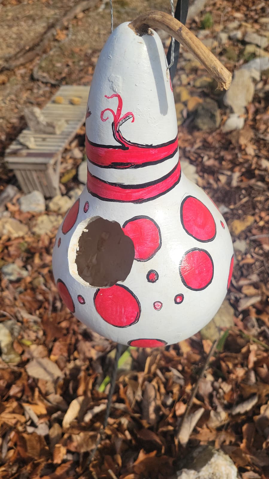 Birdhouse gourds (over 12" tall)