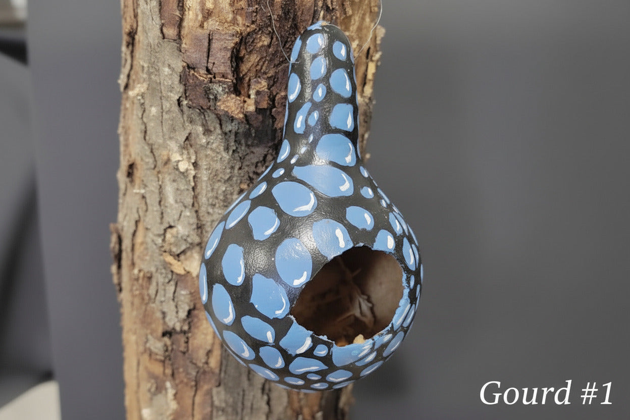 Small And Mini Gourds
