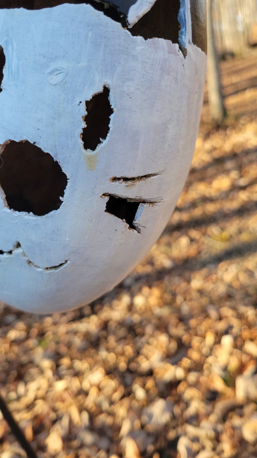 Birdhouse gourd - white cat (Damaged)