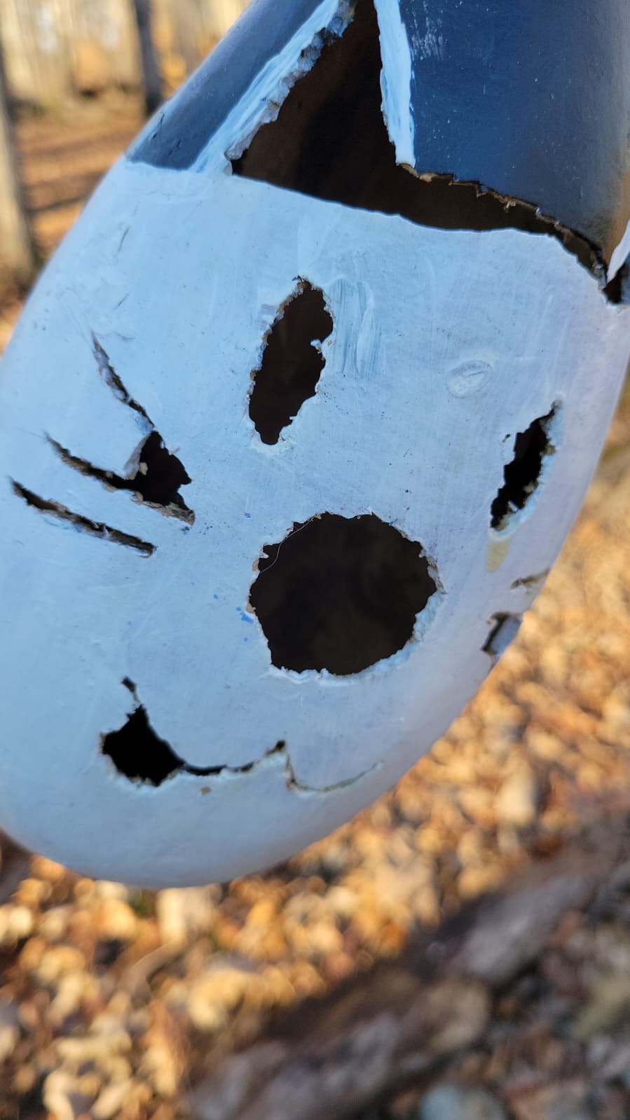 Birdhouse gourd - white cat (Damaged)