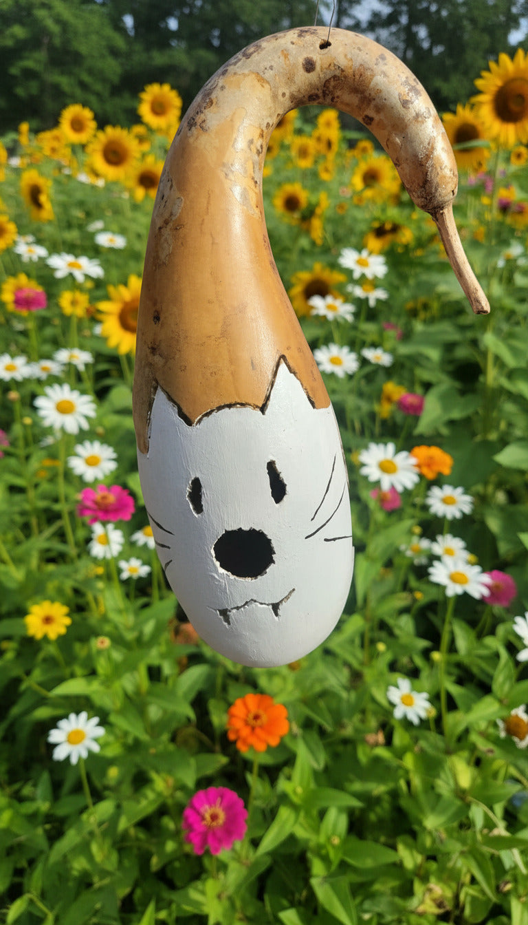 Birdhouse gourd - Medium sized