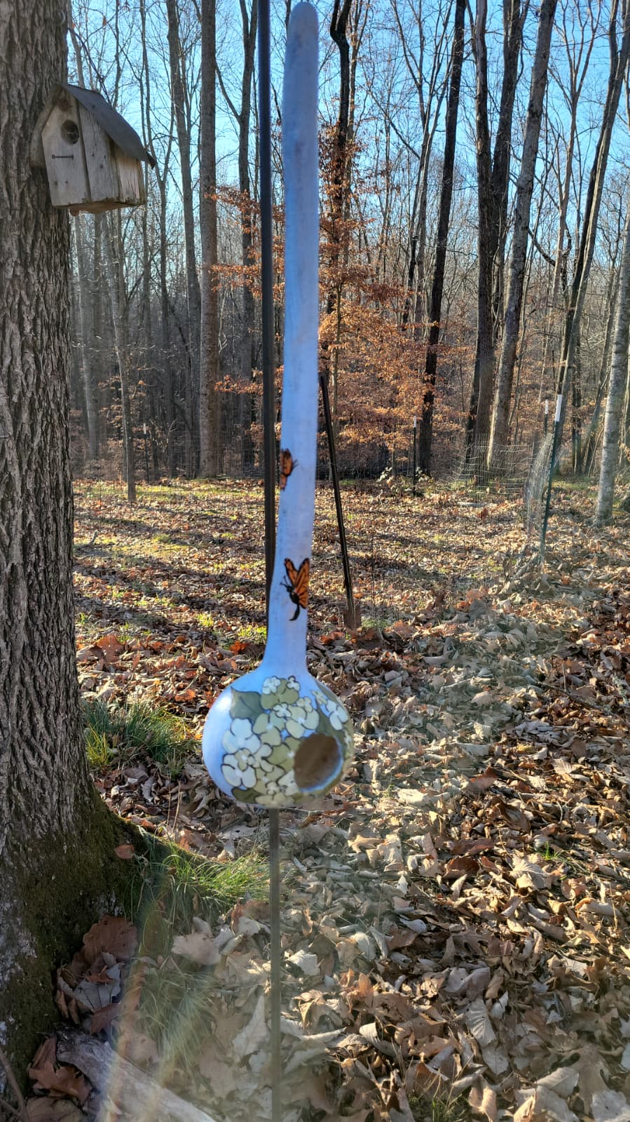 Birdhouse gourds (over 12" tall)