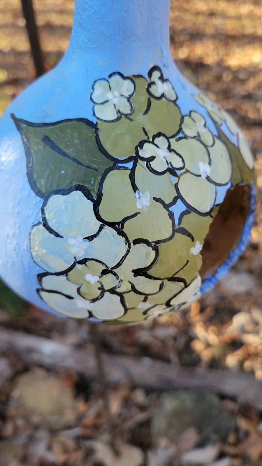 Birdhouse gourds (over 12" tall)