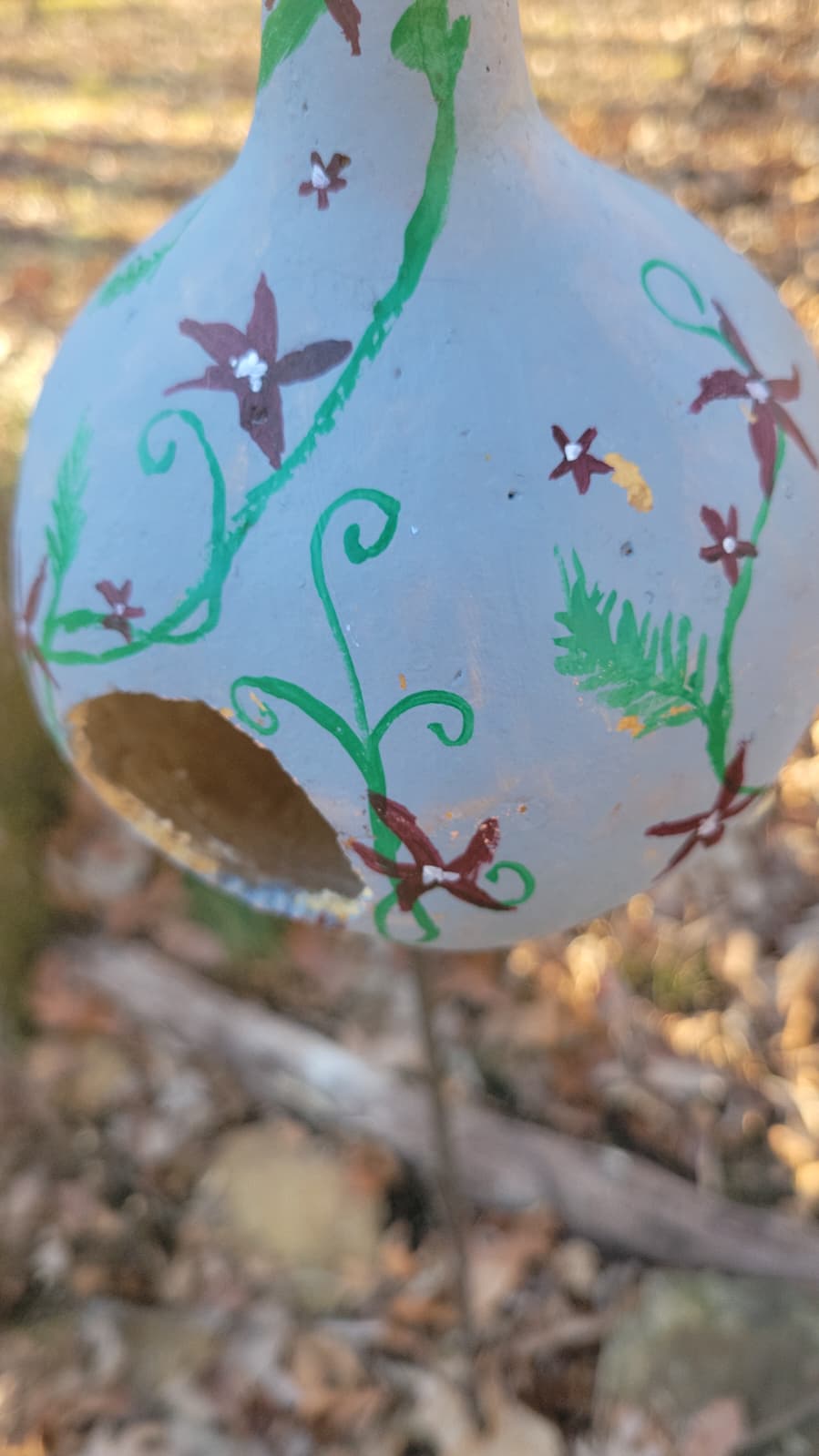 Birdhouse gourds (over 12" tall)