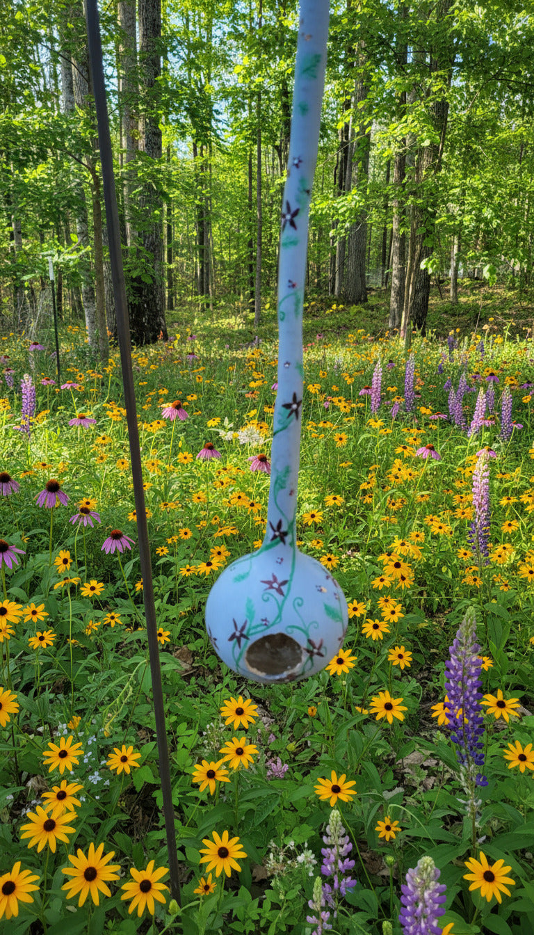 Birdhouse gourds (over 12" tall)