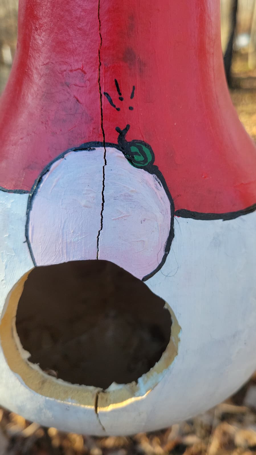 Birdhouse gourds (over 12" tall)