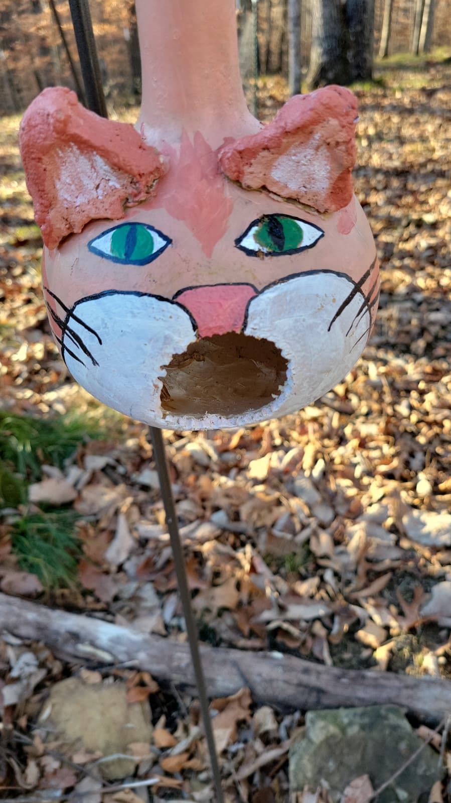 Birdhouse Gourds (with clay additions)