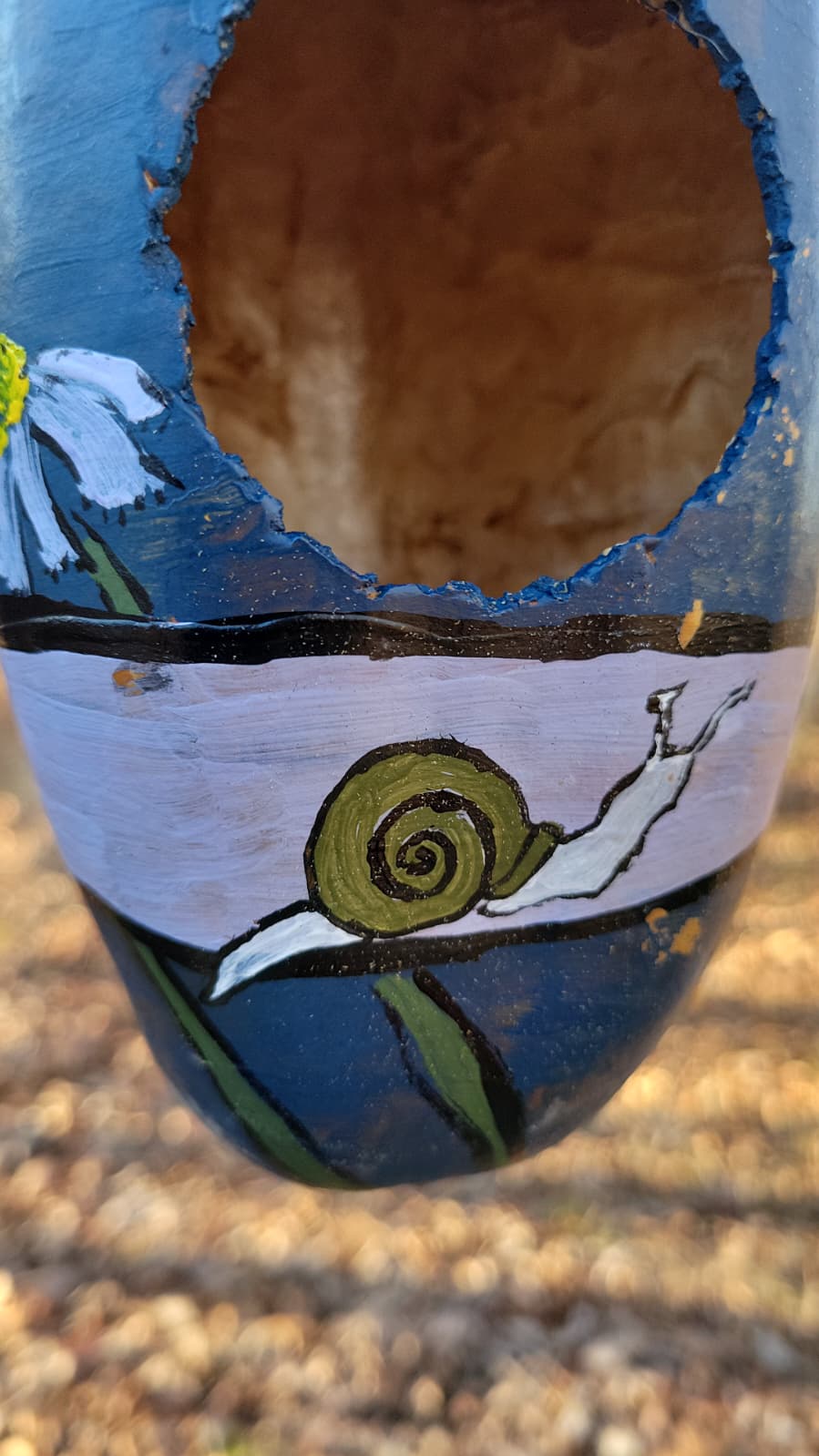 Birdhouse gourd - Medium sized