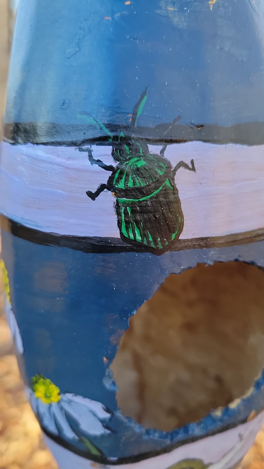 Birdhouse gourd - Medium sized