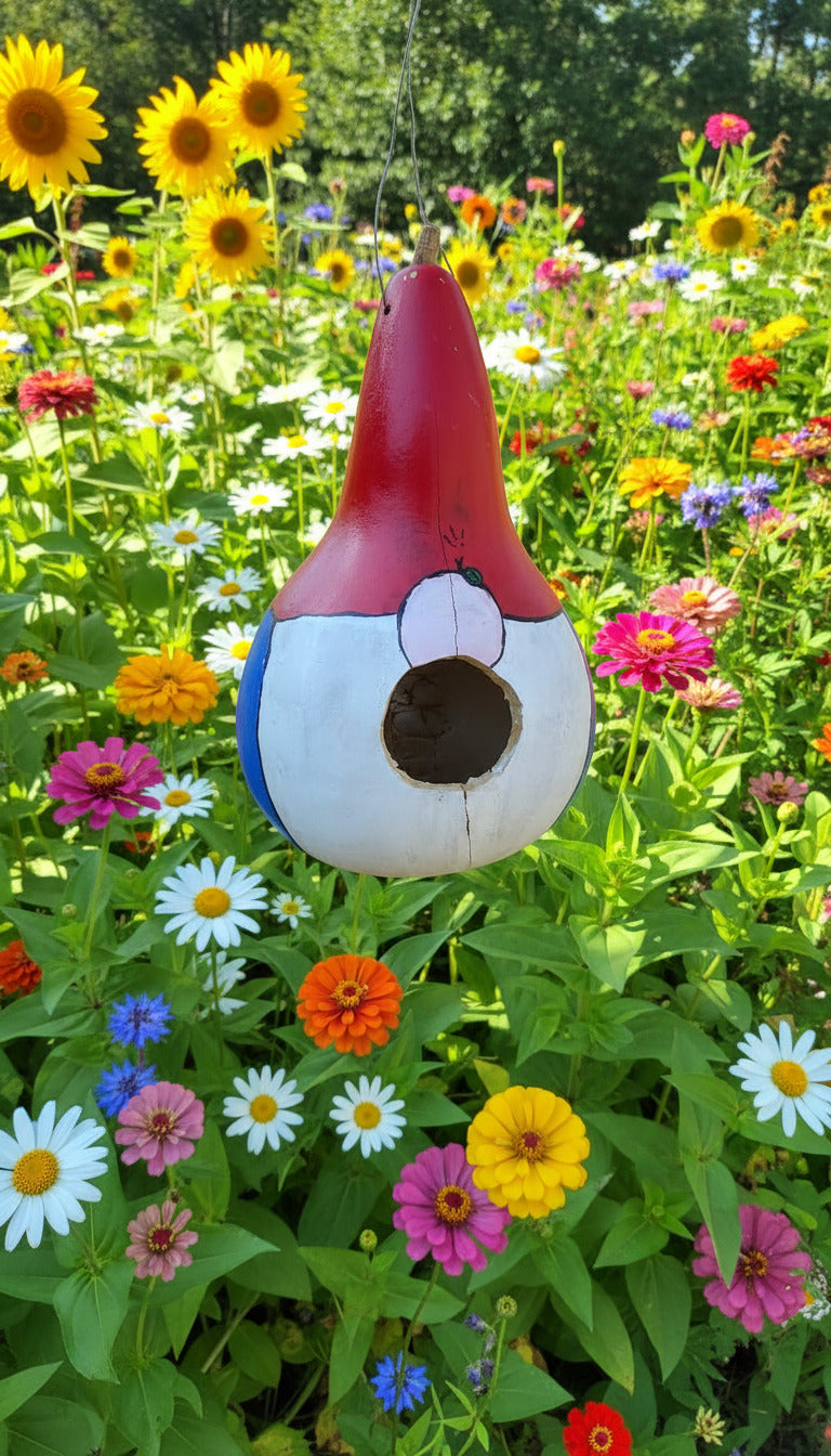 Birdhouse gourds (over 12" tall)