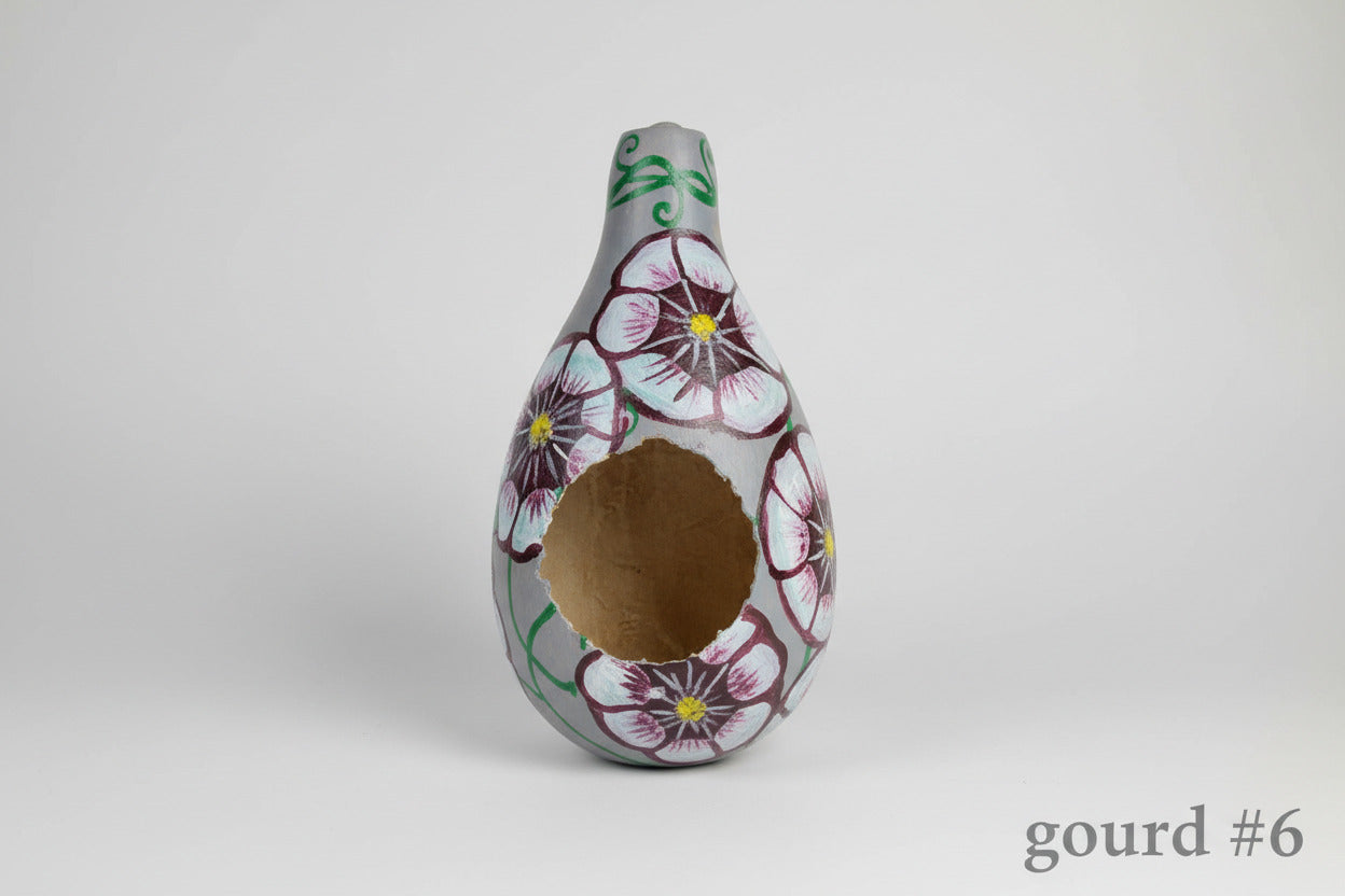 Small And Mini Gourds